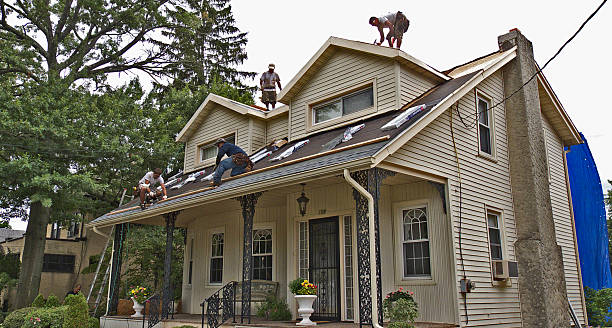 Best Gutter Installation and Roofing  in Oblong, IL