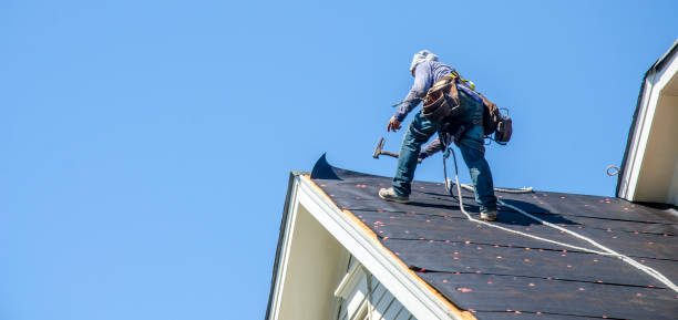 Best Storm Damage Roof Repair  in Oblong, IL